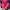 Blackyak Sportswear Track jacket Pria pink black photo 4