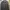 Jungle Storm Vintage Casual Windbreaker Pria Multicolor
