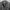Jungle Storm Vintage Casual Windbreaker Pria Multicolor