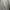 Adidas Minimalist T-shirt Pria gray photo 3