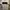 Polham Minimalist Casual T-shirt Pria white photo 1