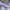 Adidas Sportswear Casual Hoody Pria multicolor photo 3