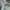 afflication grunge   photo 4
