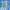 Afflication Grunge  