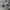 Adidas Y2K Casual Windbreaker Pria gray photo 4