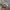 Adidas Y2K Casual Windbreaker Pria gray photo 6