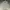 Adidas Y2K Casual Windbreaker Pria gray photo 3