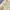 Crop Top Colorbox photo 4