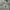 Adidas Casual Sweatshirt Pria black gray photo 3