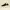 Sepatu Skechers Gowalk Max Slip On
