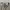 Dickies Casual Casual pants Pria khaki photo 3