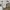 Dickies Casual Casual pants Pria khaki photo 4