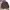 Polo Ralph Lauren Luxury Casual Sweatshirt Pria multicolor photo 1