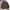 Polo Ralph Lauren Luxury Casual Sweatshirt Pria Multicolor