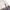 Tommy Hilfiger Luxury Minimalist Cardigan Pria cream photo 3
