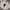outer premium photo 1