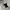 outer premium photo 4