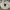 outer premium photo 2