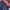 Streetwear Casual Windbreaker Pria navy photo 4