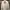 Vintage Burberry London Harrington Nylon Jacket