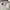 Lee Biker Minimalist Short Pria cream photo 5