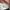 Adidas Vintage Streetwear Sneakers Pria white photo 4