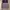 Vintage Intown Purple Wool Vest photo 4