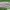 Gorpcore Sportswear Tracksuit Pria green gray photo 1