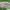 Gorpcore Sportswear Tracksuit Pria Green Gray