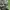 Gorpcore Sportswear Tracksuit Pria green gray photo 2
