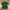Polo Lacoste photo 1