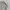 Leyton House Racing Streetwear Casual Track jacket Pria cream photo 8