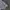 Nike Streetwear Indie T-shirt Pria gray photo 2