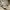 L.L.Bean Vintage Luxury Parka Pria cream photo 5