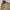 L.L.Bean Vintage Luxury Parka Pria cream photo 2