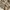 L.L.Bean Vintage Luxury Parka Pria cream photo 3