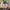 Streetwear Luxury Kids cream brown photo 6