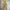 Streetwear Luxury Kids cream brown photo 2