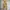Streetwear Luxury Kids Cream Brown