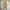 Streetwear Luxury Kids cream brown photo 3