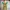 Streetwear Luxury Kids cream brown photo 1
