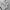 Streetwear Casual Windbreaker Pria multicolor photo 6