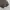 Outdoor Research Streetwear Casual Windbreaker Pria multicolor photo 4