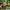 2XU Cosplay Coquette Wallet Wanita green white photo 1