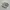 Adidas Casual Sneakers Pria cream photo 1