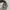 Adidas Casual Sneakers Pria cream photo 4