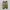 Adidas Casual Sneakers Pria multicolor photo 5