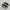 Adidas Casual Sneakers Pria multicolor photo 1