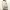 Vintage Cardigan by Salvatore Ferragamo photo 6