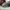 Adidas Casual Sneakers Pria white photo 6